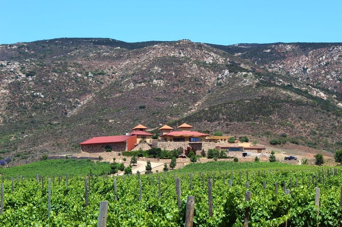 The 5 Best Wineries and Restaurants in Valle de Guadalupe: A Culinary and Oenological Paradise