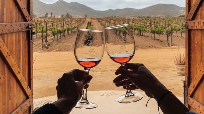 Wine Tasting Tours