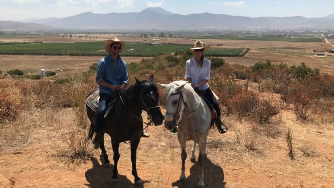 Horseback Riding Through the Vineyards
