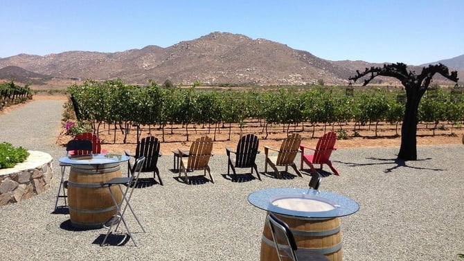 Trevista Vineyards