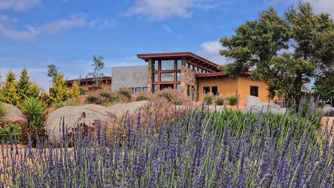 Vineyards & Wineries