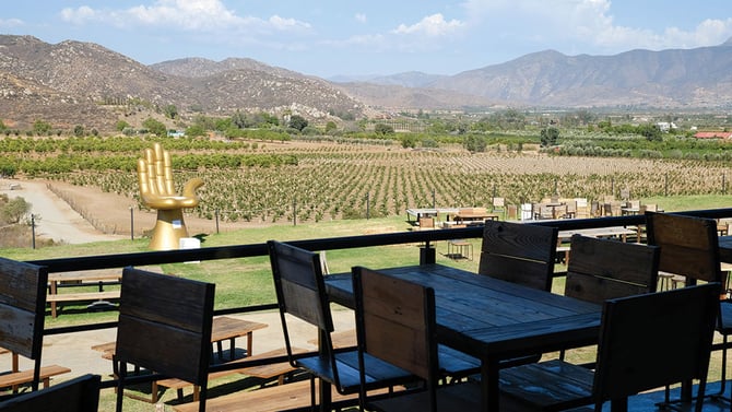Decantos Vinícola