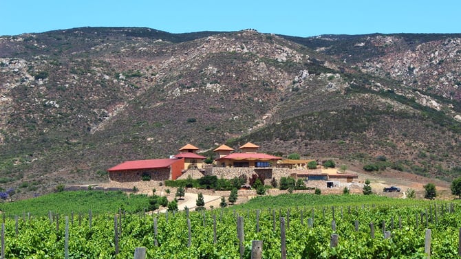 The 5 Best Wineries and Restaurants in Valle de Guadalupe: A Culinary and Oenological Paradise