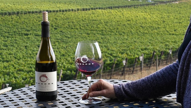 Valle De Guadalupe